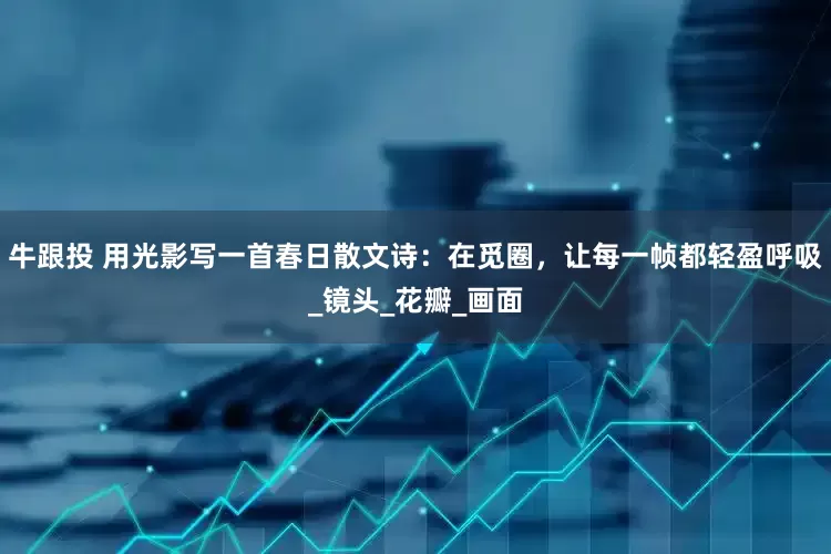 牛跟投 用光影写一首春日散文诗：在觅圈，让每一帧都轻盈呼吸_镜头_花瓣_画面