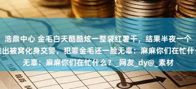 浩鼎中心 金毛白天酷酷炫一整袋红薯干，结果半夜一个大“毒气弹”让主人跳出被窝化身交警，犯罪金毛还一脸无辜：麻麻你们在忙什么？_网友_dy@_素材