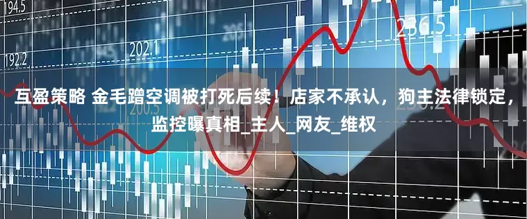 互盈策略 金毛蹭空调被打死后续！店家不承认，狗主法律锁定，监控曝真相_主人_网友_维权