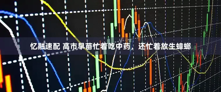 忆融速配 高市早苗忙着吃中药，还忙着放生蟑螂